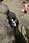 164 6464 crw.jpg