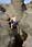 164 6468 crw.jpg