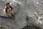 164 6477 crw.jpg
