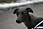 090412 322 2250 crw.jpg