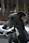 090412 322 2258 crw.jpg