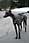 090412 322 2267 crw.jpg