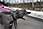 090412 322 2276 crw.jpg