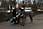 090412 323 2305 crw.jpg