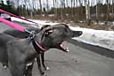 090412 322 2276 crw.jpg