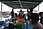 231 3161 crw.jpg