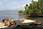 231 3171 crw.jpg