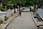 231 3187 crw.jpg