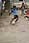 231 3195 crw.jpg
