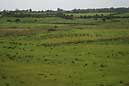 090906 334 3487 crw.jpg