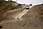 226 2621 crw.jpg