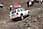 226 2642 crw.jpg