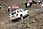 226 2643 crw.jpg