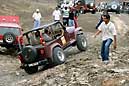226 2633 crw.jpg