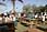 060324 245 4570 crw.jpg