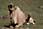 100125 347 4787 crw.jpg