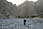 091205 344 4405 crw.jpg