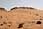 212 1248 crw.jpg