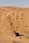 Crw 8452.jpg