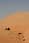 Crw 8536.jpg