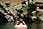 158 5895 crw.jpg