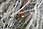 160 6006 crw.jpg