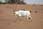 050708 230 3022 crw.jpg