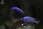 155 0032 crw.jpg