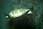 155 0038 crw.jpg
