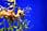 155 0049 crw.jpg