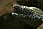 155 0051 crw.jpg