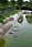 155 0061 crw.jpg