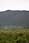155 0073 crw.jpg
