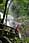 155 0078 crw.jpg