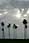 155 0087 crw.jpg