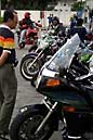 155 0011 crw.jpg