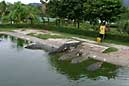 155 0062 crw.jpg