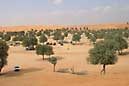 Crw 7733.jpg