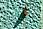 070412 260 6088 crw.jpg