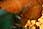 070412 261 6119 crw.jpg