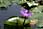070412 261 6146 crw.jpg