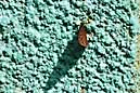 070412 260 6088 crw.jpg