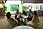 214 1479 crw.jpg
