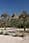 214 1499 crw.jpg
