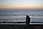 217 1743 crw.jpg