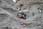 217 1761 crw.jpg