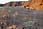 217 1781 crw.jpg