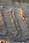 217 1785 crw.jpg