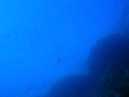 Img 3676.jpg