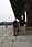 090711 326 2668 crw.jpg